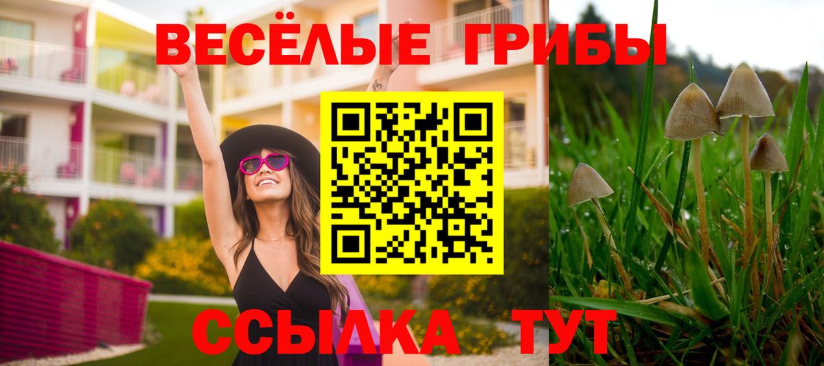 Псилоцибиновые грибы мухоморы Михайловск